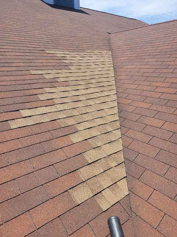 Quality Roof Repair